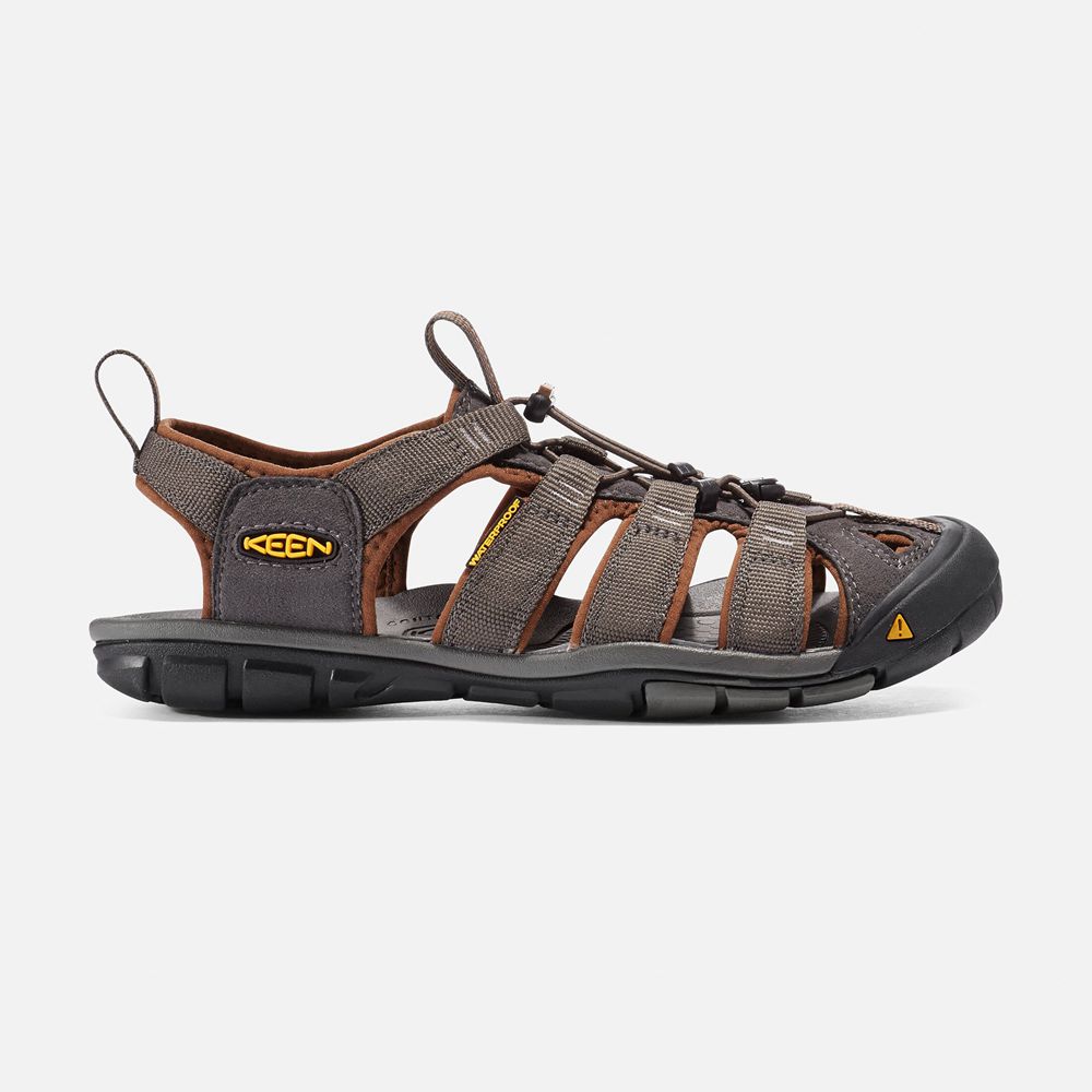 Keen Sandaal Heren Bruin - Clearwater Cnx - 70495-AITJ